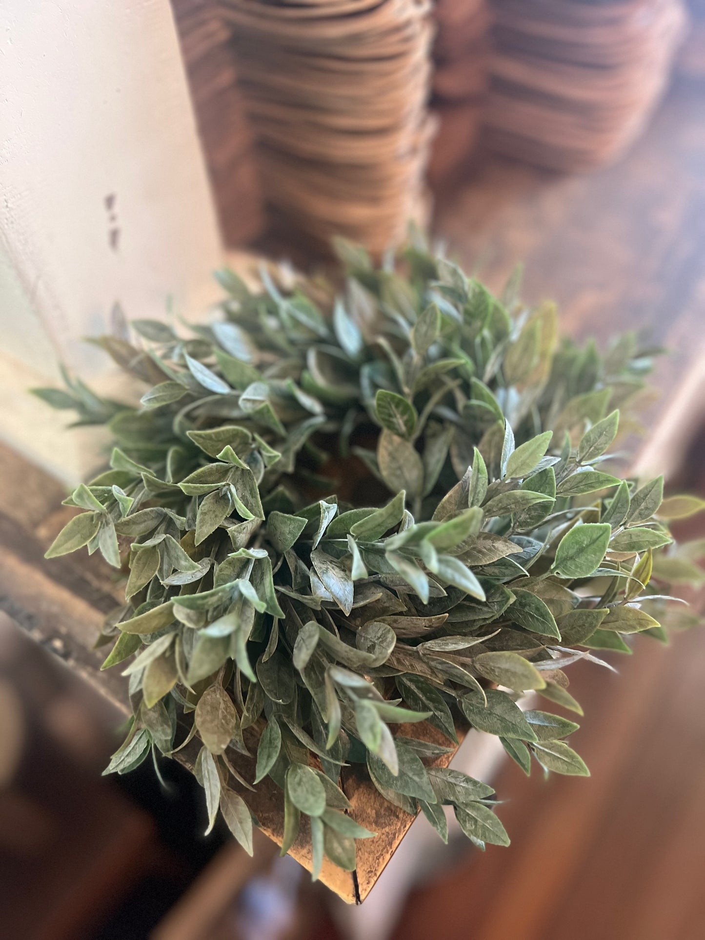 9" Eucalyptus Wreath