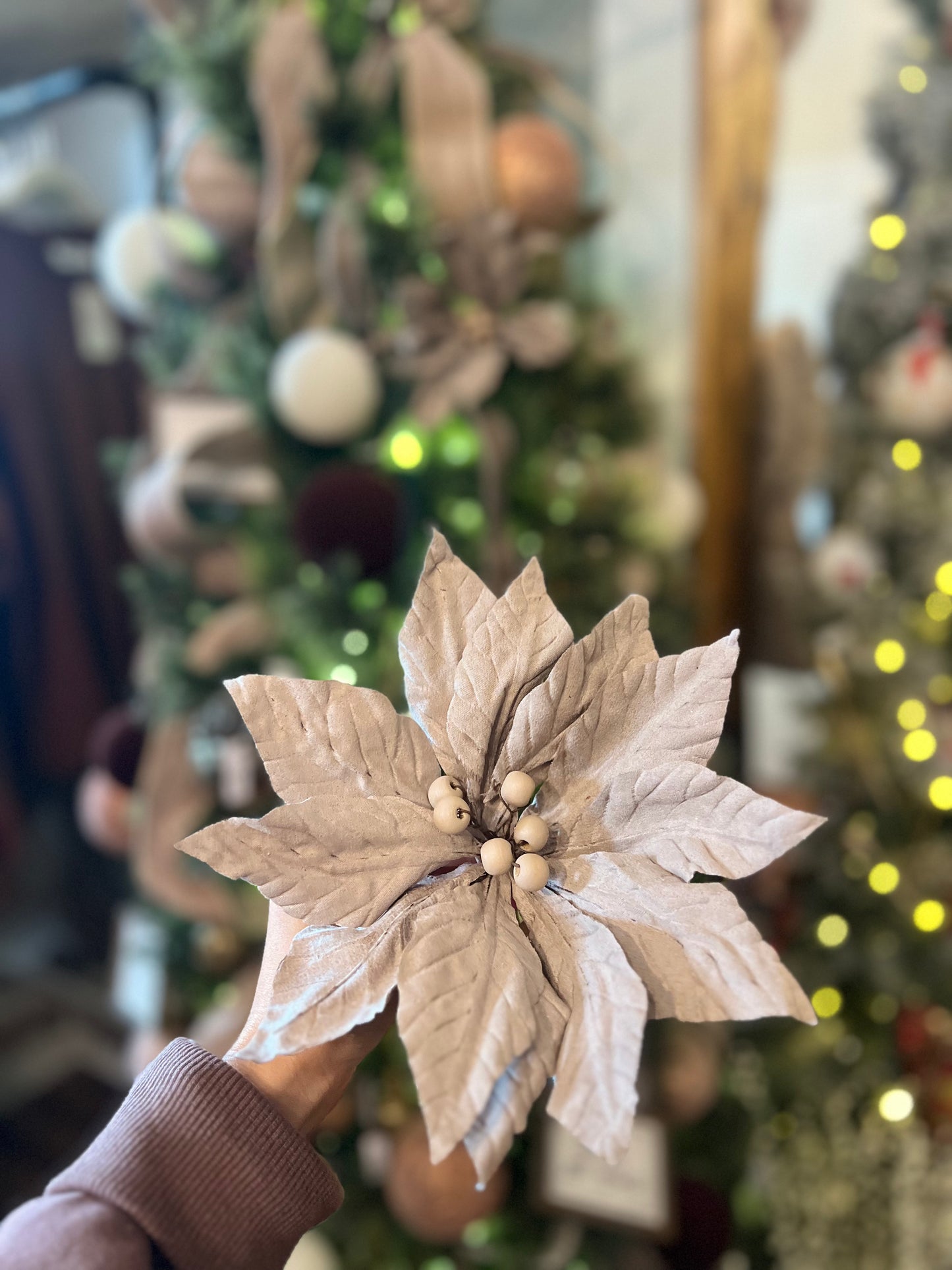Large Tan Poinsettia 8 inches - Shoppe3130