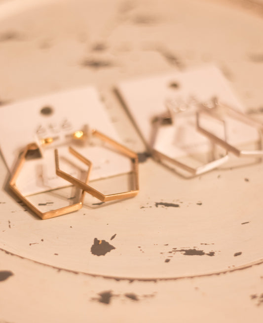 Boxed Hexagon Earrings
