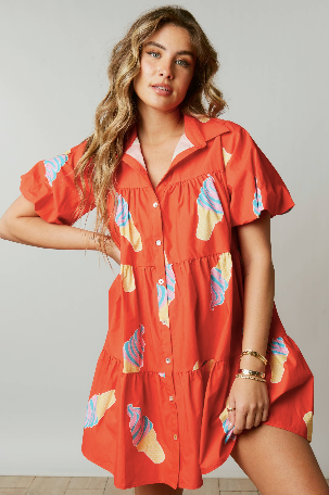 Ice Cream Poplin Shirt Dress Shoppe3130