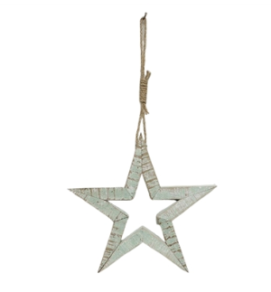 Small Sage Star Cutout