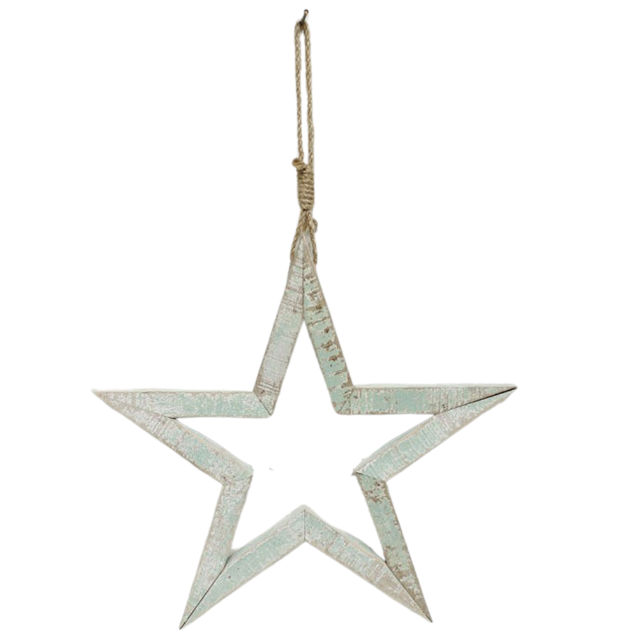 Medium Sage Star Cutout