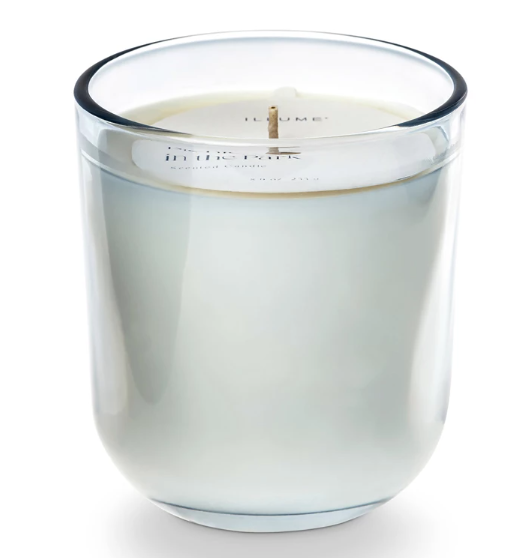 Picnic in the Park Daydream Glass Candle - Shoppe3130