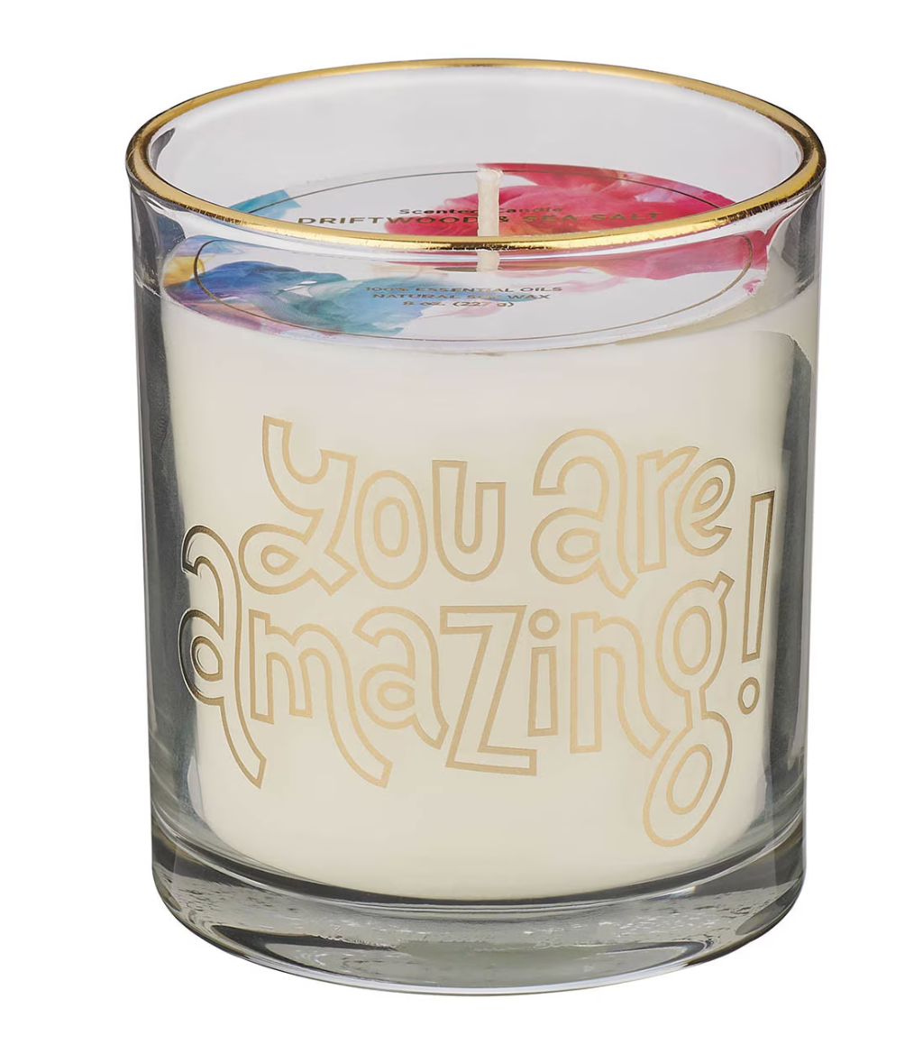 You Are Amazing Driftwood and Sea Salt Scented Candle in a Glass Jar - Shoppe3130