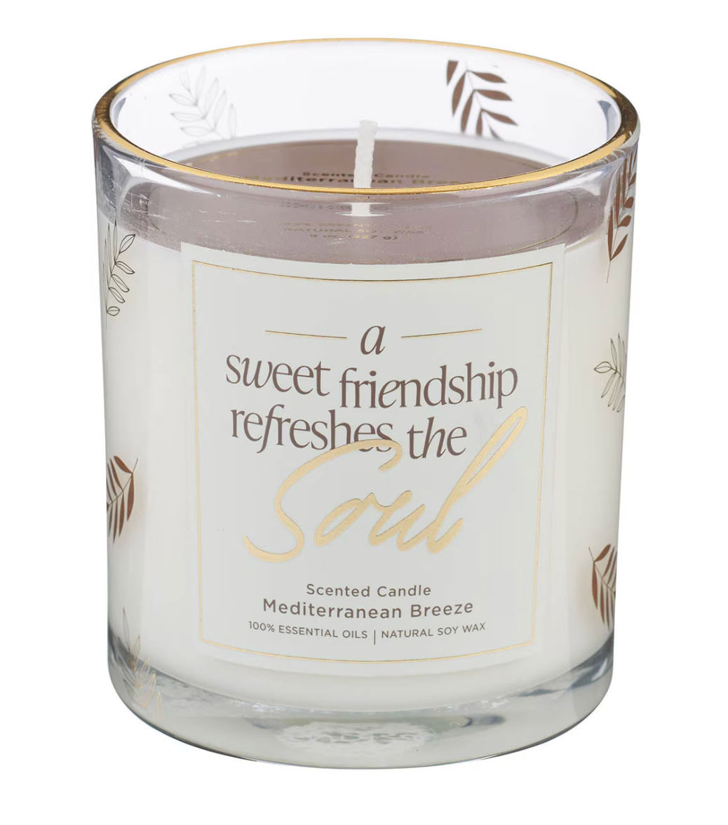 A Sweet Friendship Mediterranean Breeze Scented Candle in a Glass Jar - Shoppe3130