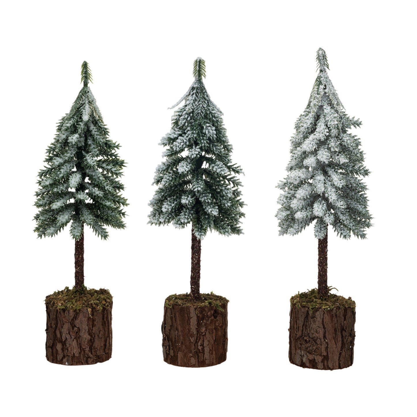 Assorted Faux Fir Tree w/ Wood & Moss Base, Snow/Frost Finish, Green