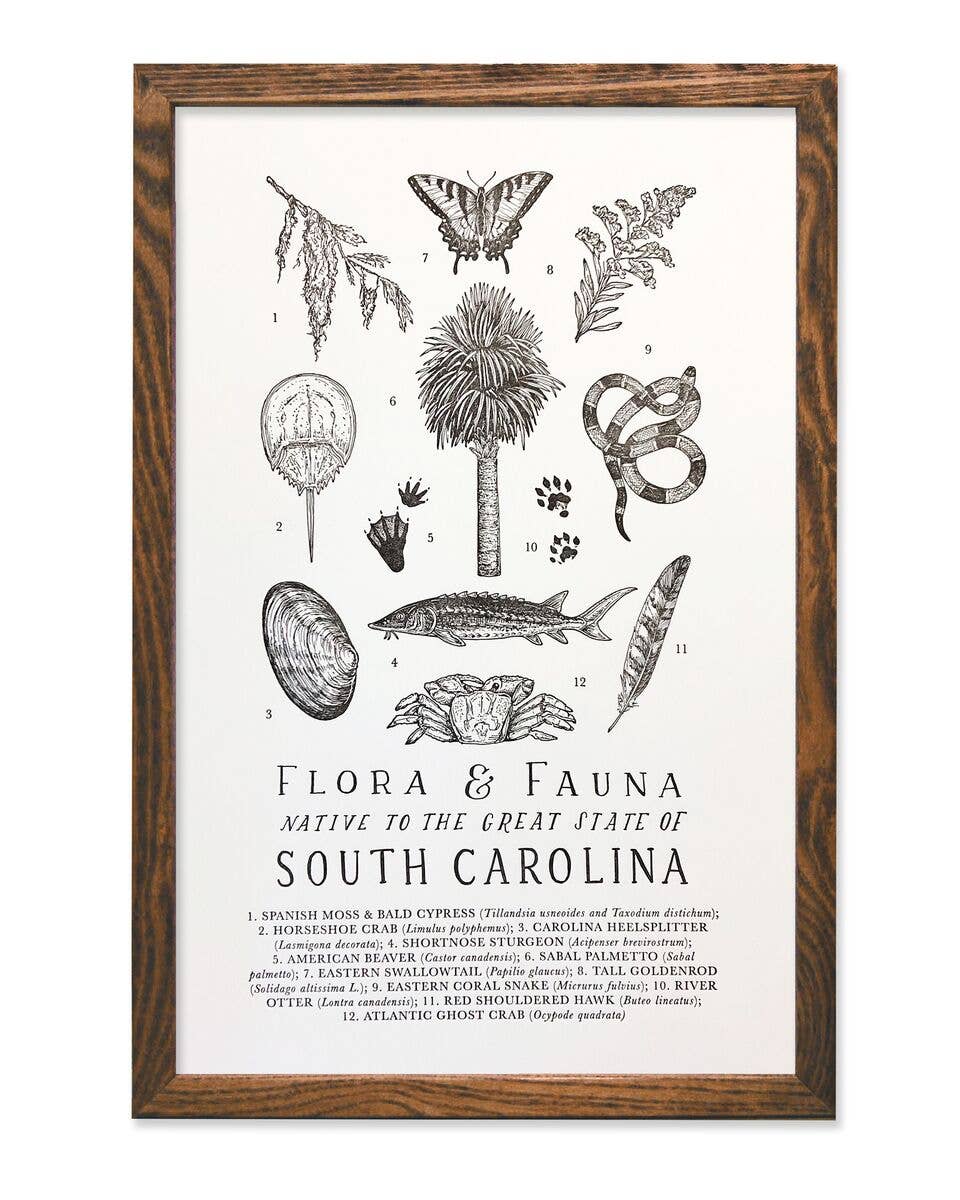 South Carolina Field Guide