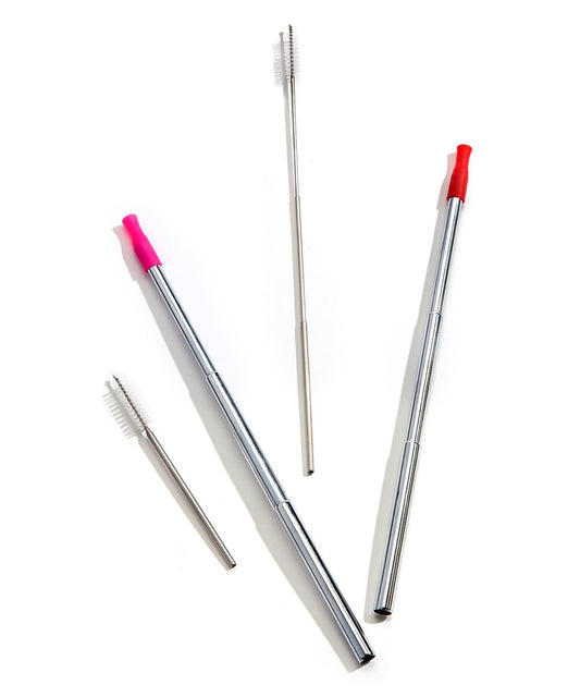 Silicone Tip Straw and Brush Set