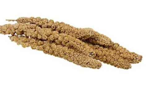 Mini Millet Natural 4oz