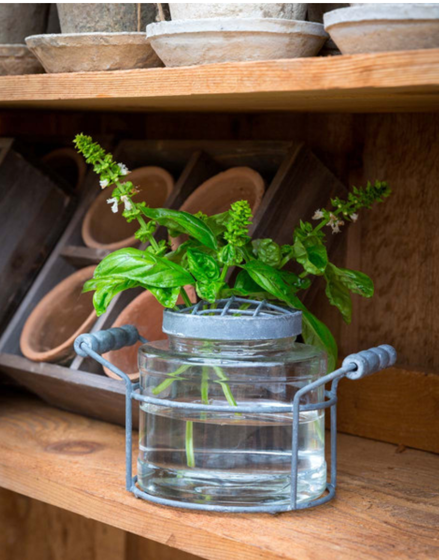 Farmhouse Jar Flower Holder