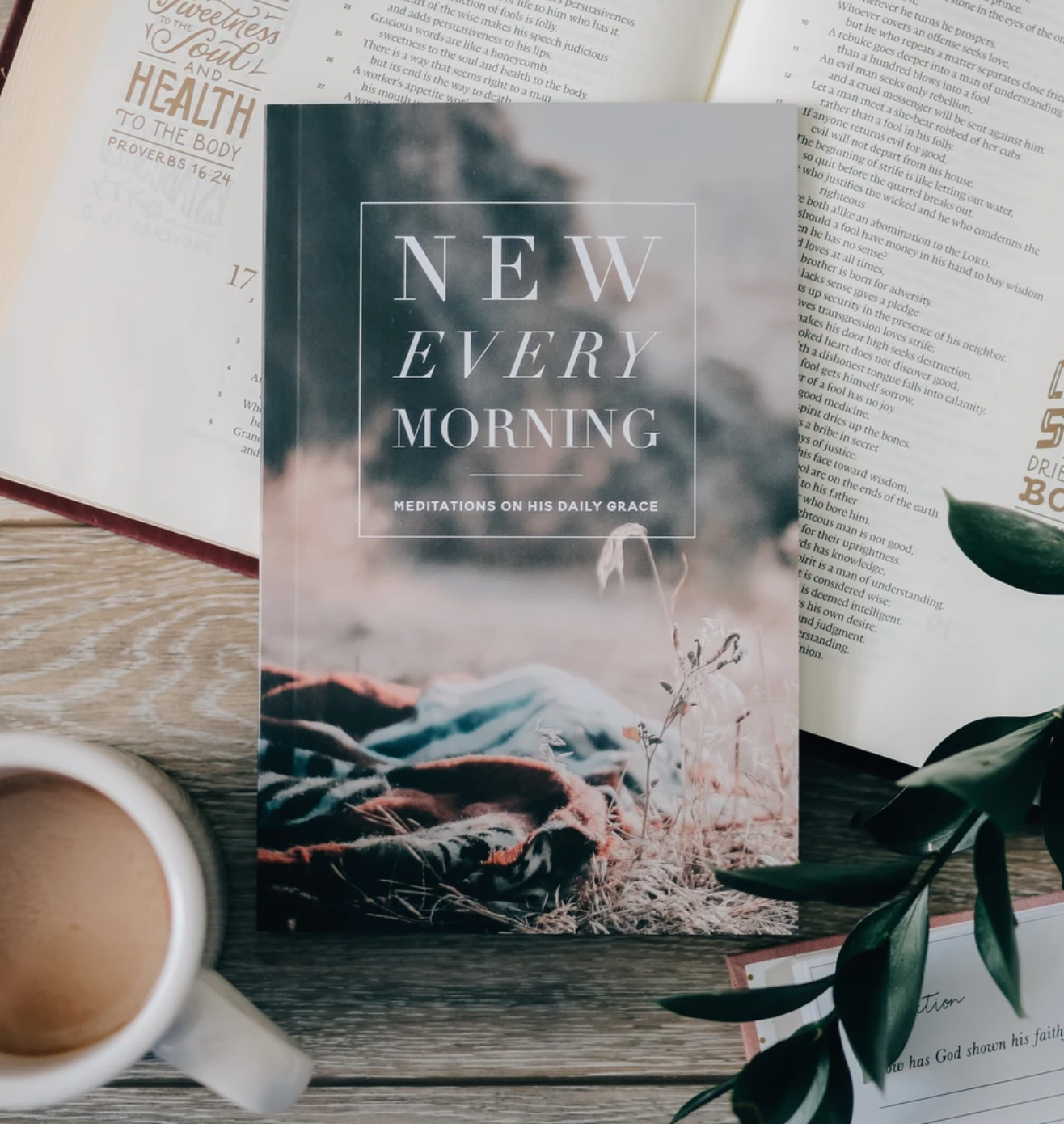 New Every Morning Meditations on His Daily Grace