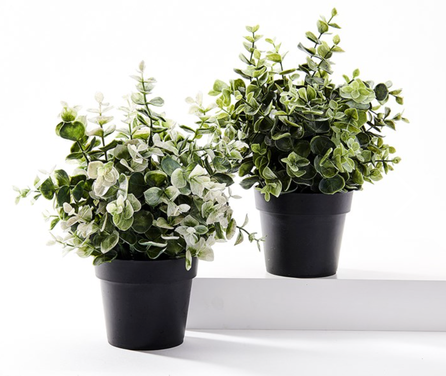 Faux Potted Boxwood Plant - Assorted Styles