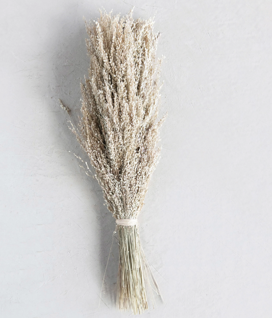 Dried Natural Star Grass Bunch