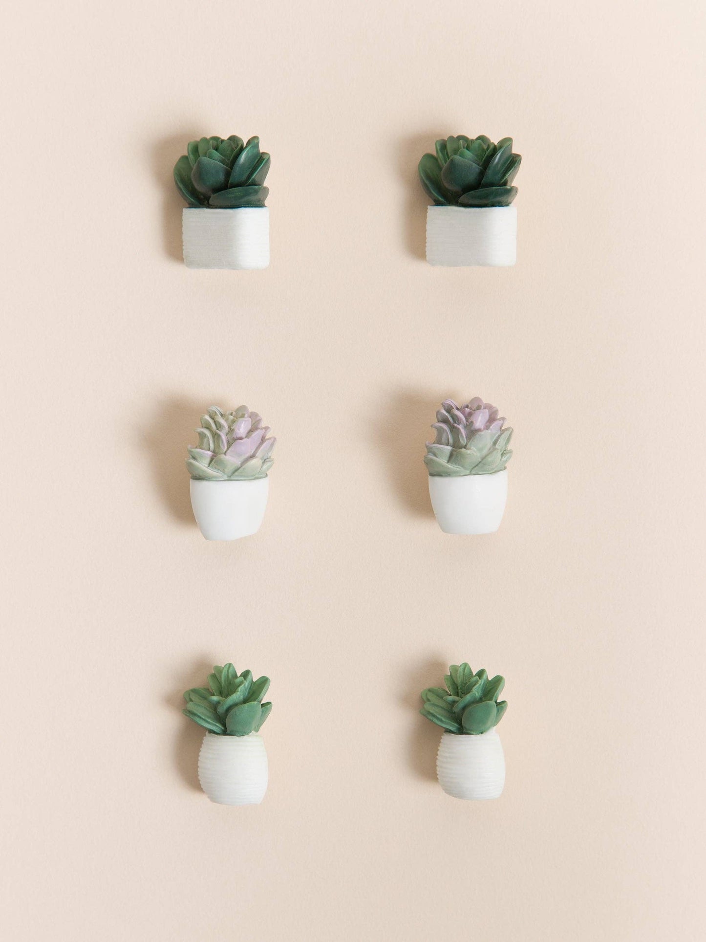 Potted Succulent Push Pins, Set of 6
