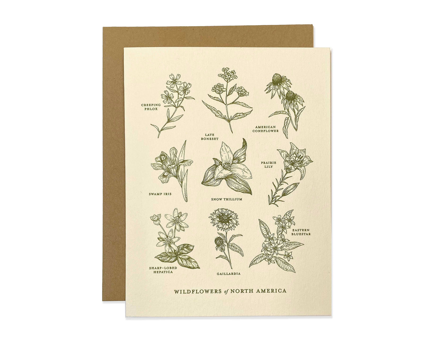 Wildflowers of North America Greeting Card